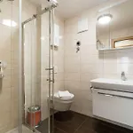 Schmittenbach - Pinzgau Holidays Apartment *