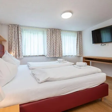 Schmittenbach - Pinzgau Holidays 公寓 *